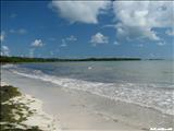 Los Machos Beach - CEIBA